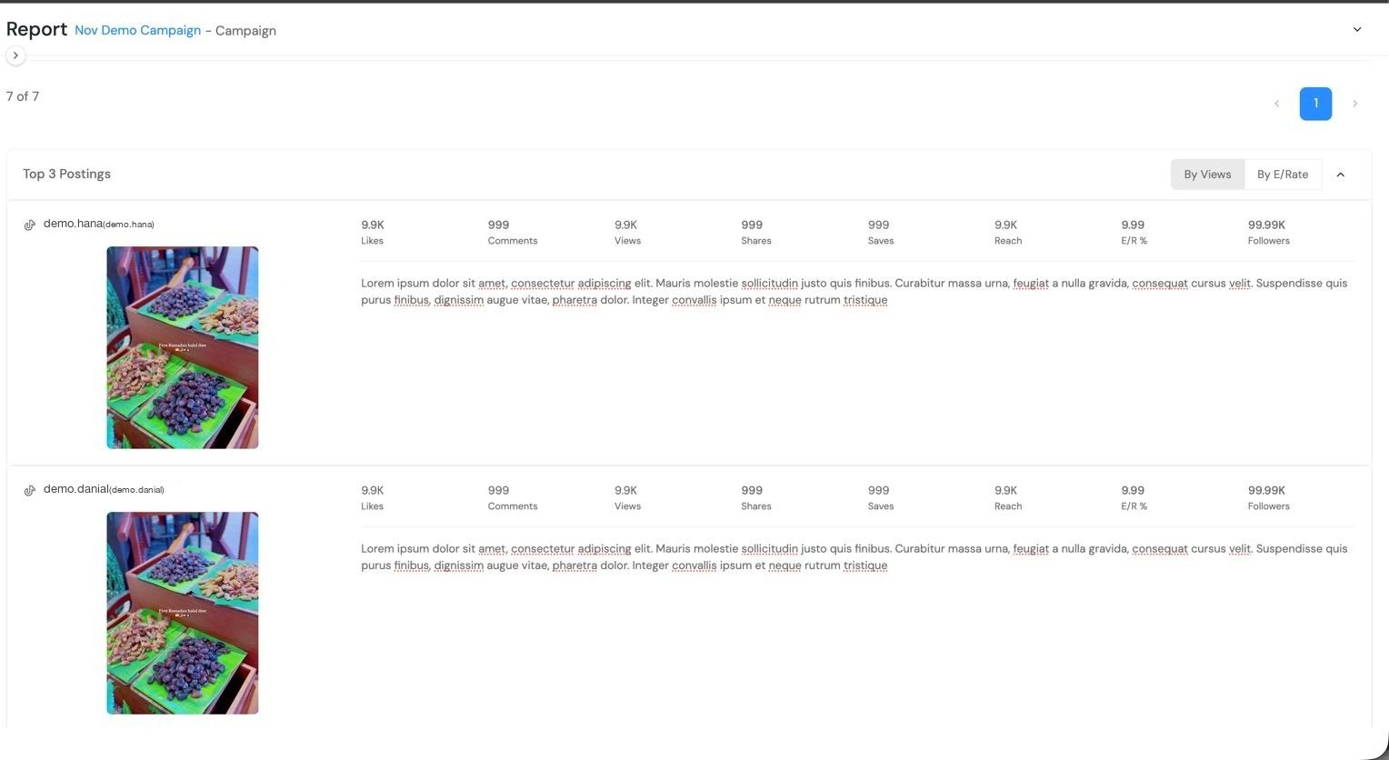 Sapotmode campaign report showing likes, comments, views, shares, saves, reach and engagement rate per post